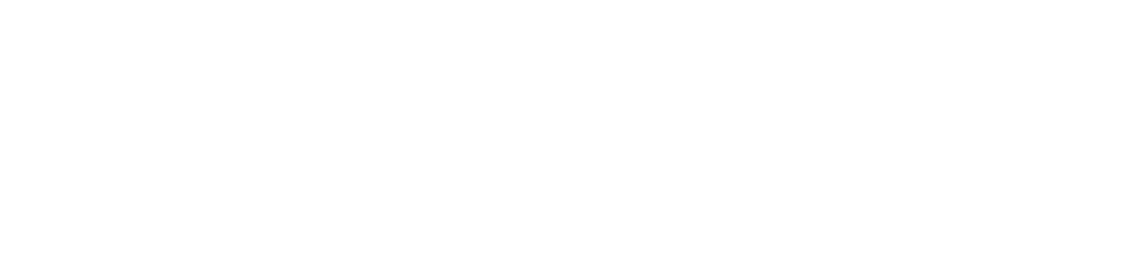 Partner 1